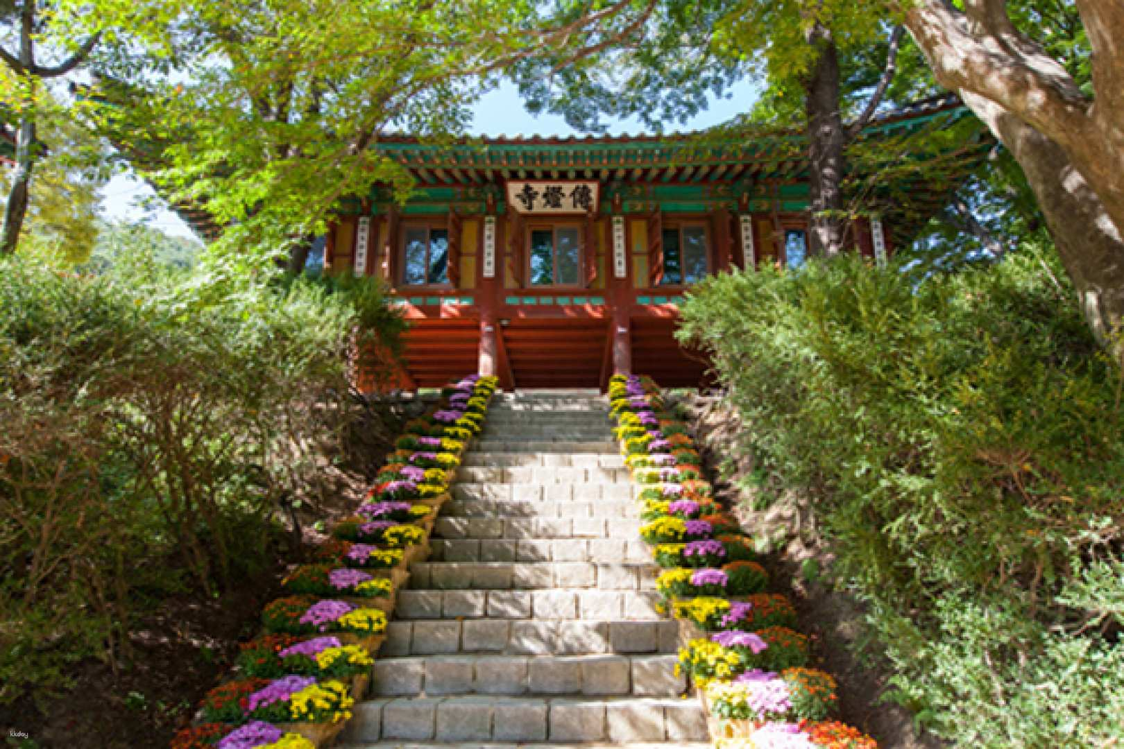 Seoul | Ganghwa Island Day Tour: World Heritage Site Ganghwa Dolmens + Ganghwa Peace Observatory + Gwangseongbo + Jeondeungsa Temple | Japanese-speaking guide and lunch included - Photo 1 of 14